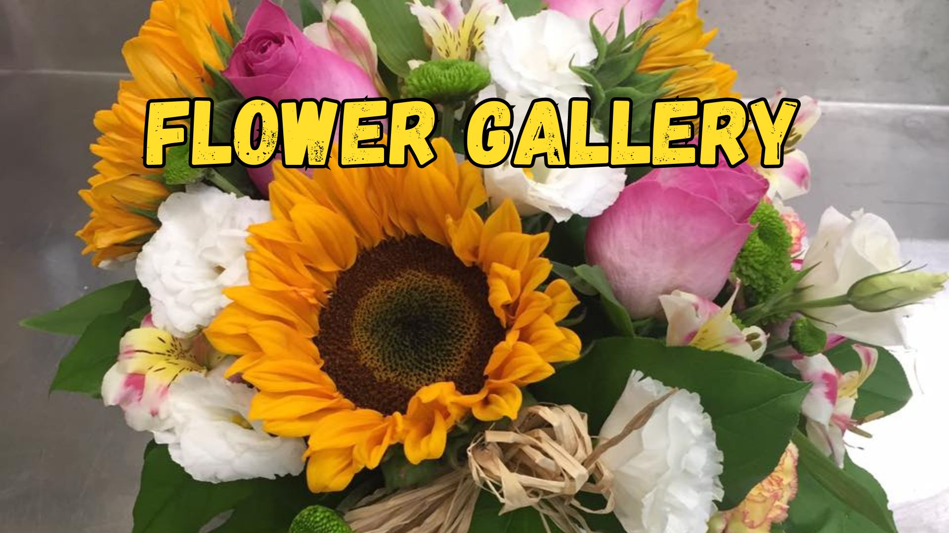 Gallery - Satellite Garden Centre 