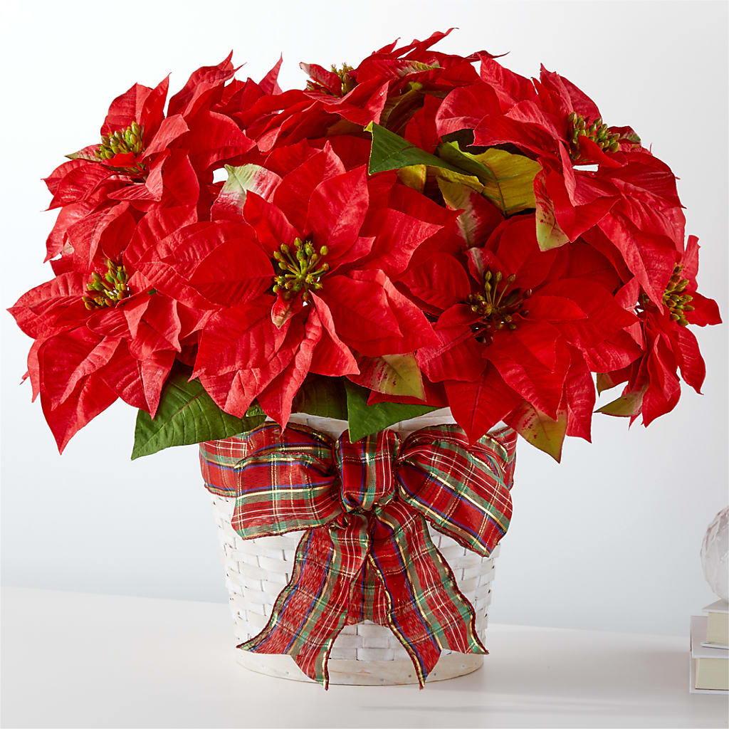 Happiest Holidays Poinsettia – SATELLITE FLORIST & GARDEN CENTRE, Hamilton ON