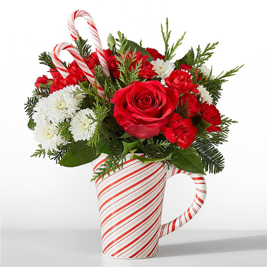 Peppermint Swirl Mug – SATELLITE FLORIST & GARDEN CENTRE, Hamilton ON