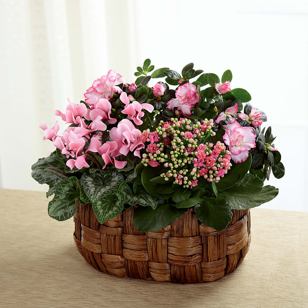 Pink Assortment – SATELLITE FLORIST & GARDEN CENTRE, Hamilton ON