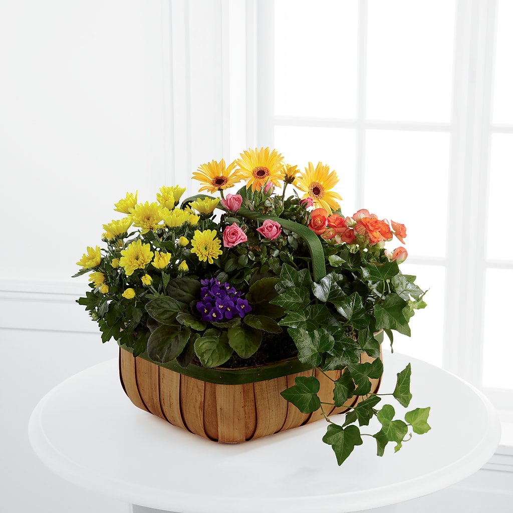 Gentle Blossoms Basket – SATELLITE FLORIST & GARDEN CENTRE, Hamilton ON