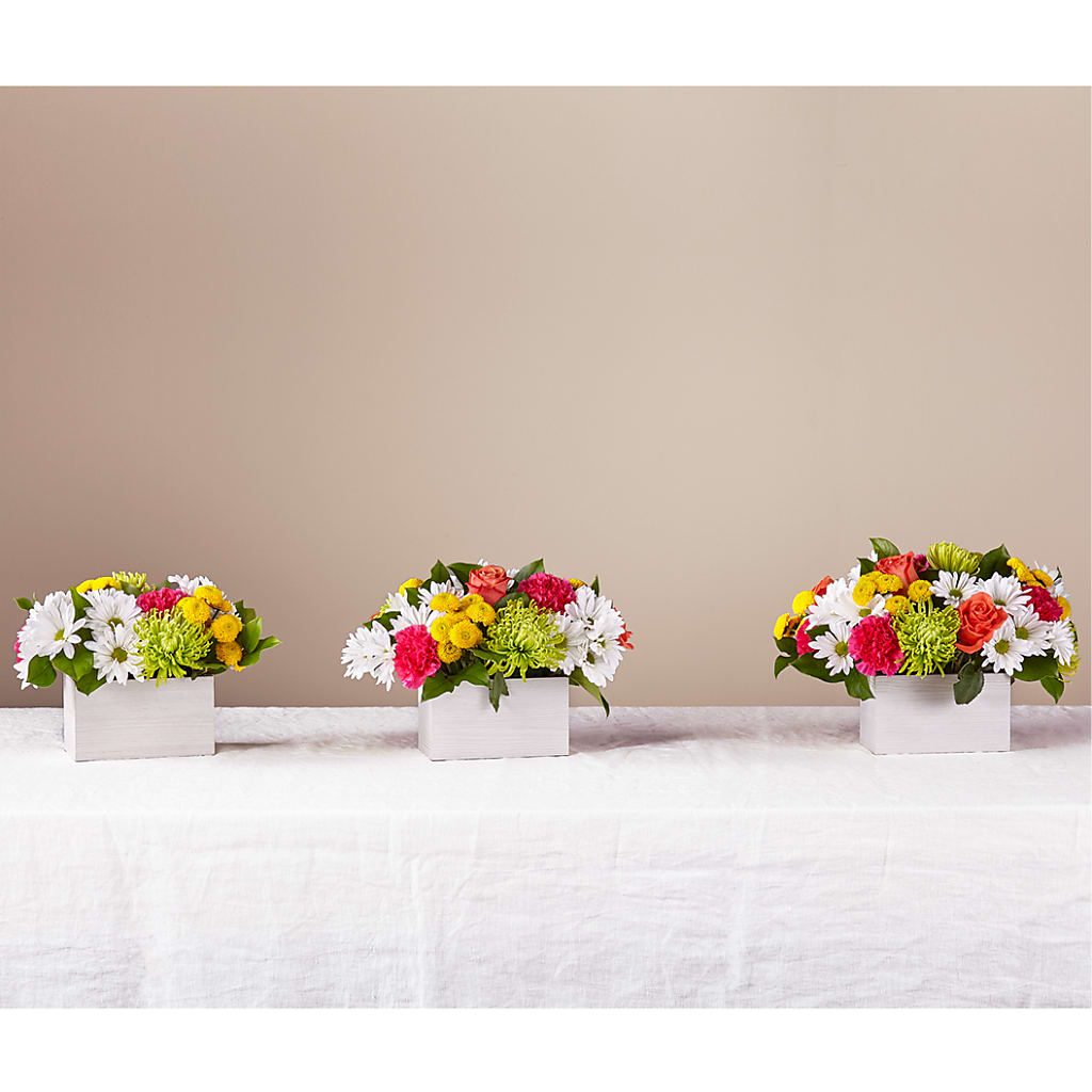 Sorbet Bouquet – SATELLITE FLORIST & GARDEN CENTRE, Hamilton ON