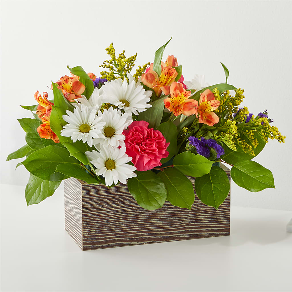 Oopsie Daisy Box Bouquet – SATELLITE FLORIST & GARDEN CENTRE, Hamilton ON