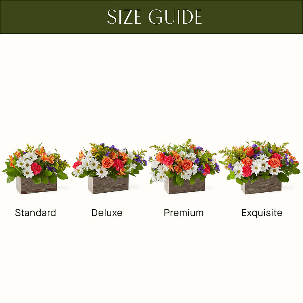 Oopsie Daisy Box Bouquet – SATELLITE FLORIST & GARDEN CENTRE, Hamilton ON