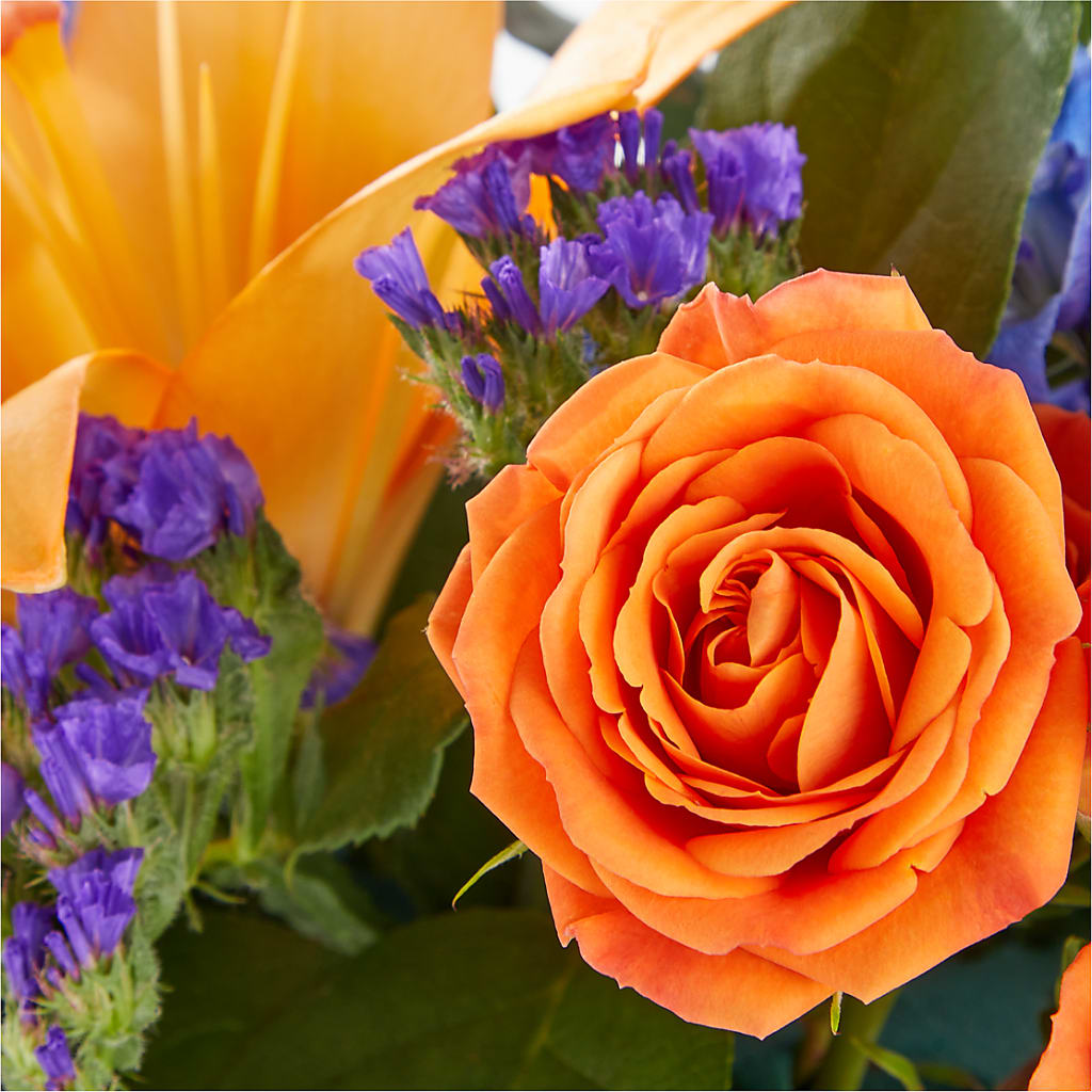 Radiant Citrus Box Bouquet – SATELLITE FLORIST & GARDEN CENTRE, Hamilton ON