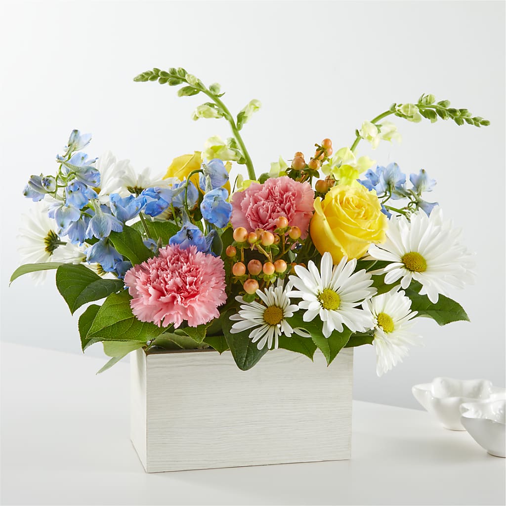 Sun Salutation Box Bouquet – SATELLITE FLORIST & GARDEN CENTRE, Hamilton ON