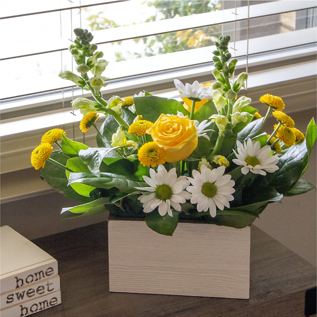 Sun Salutation Box Bouquet – SATELLITE FLORIST & GARDEN CENTRE, Hamilton ON