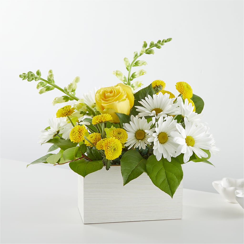 Sun Salutation Box Bouquet – SATELLITE FLORIST & GARDEN CENTRE, Hamilton ON