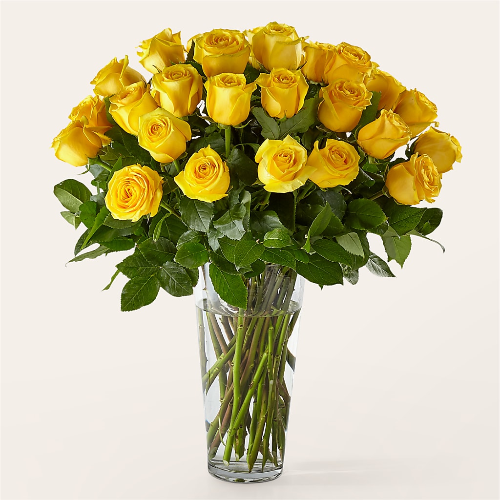 Long Stem Yellow Rose Bouquet – SATELLITE FLORIST & GARDEN CENTRE, Hamilton ON