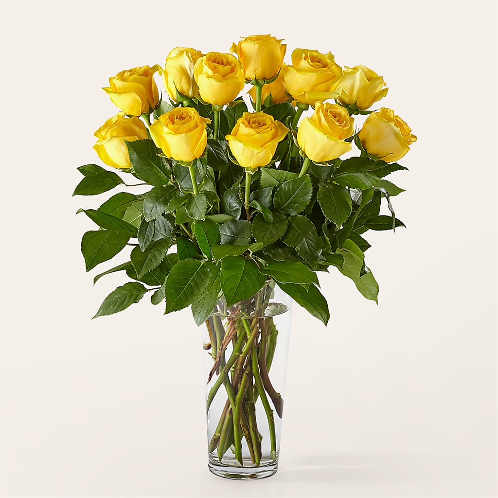 Long Stem Yellow Rose Bouquet – SATELLITE FLORIST & GARDEN CENTRE, Hamilton ON
