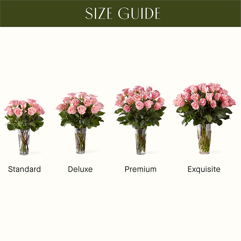 Long Stem Pink Rose Bouquet – SATELLITE FLORIST & GARDEN CENTRE, Hamilton ON