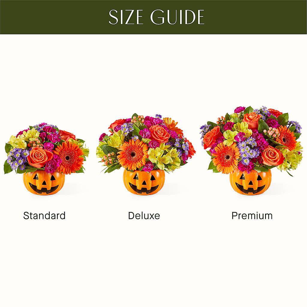 Tricks & Treats Pumpkin – SATELLITE FLORIST & GARDEN CENTRE, Hamilton ON