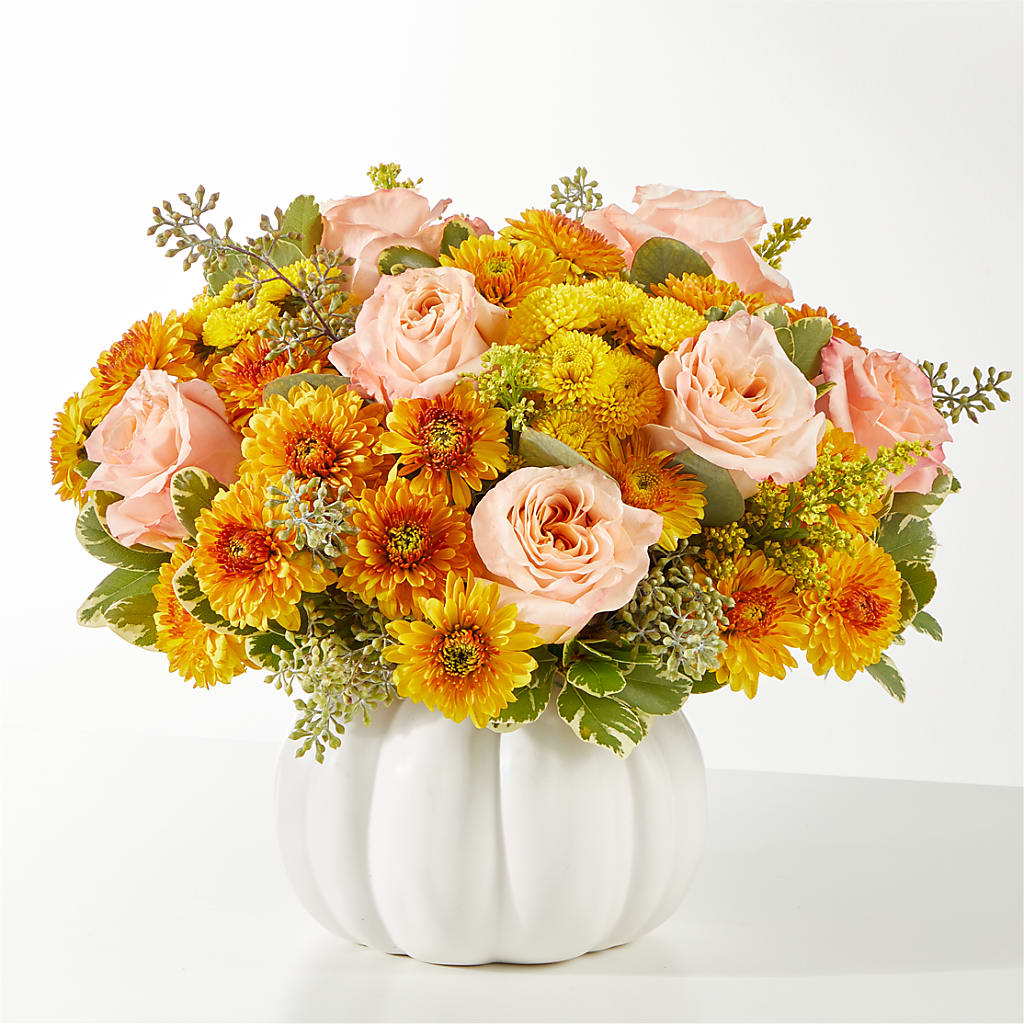 Peachy Pumpkin – SATELLITE FLORIST & GARDEN CENTRE, Hamilton ON