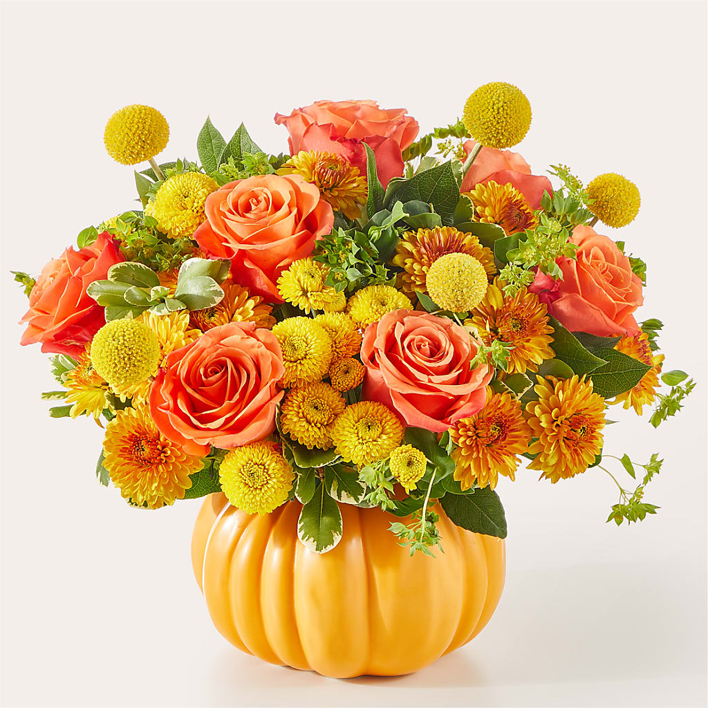 Gourdgeous Pumpkin – SATELLITE FLORIST & GARDEN CENTRE, Hamilton ON