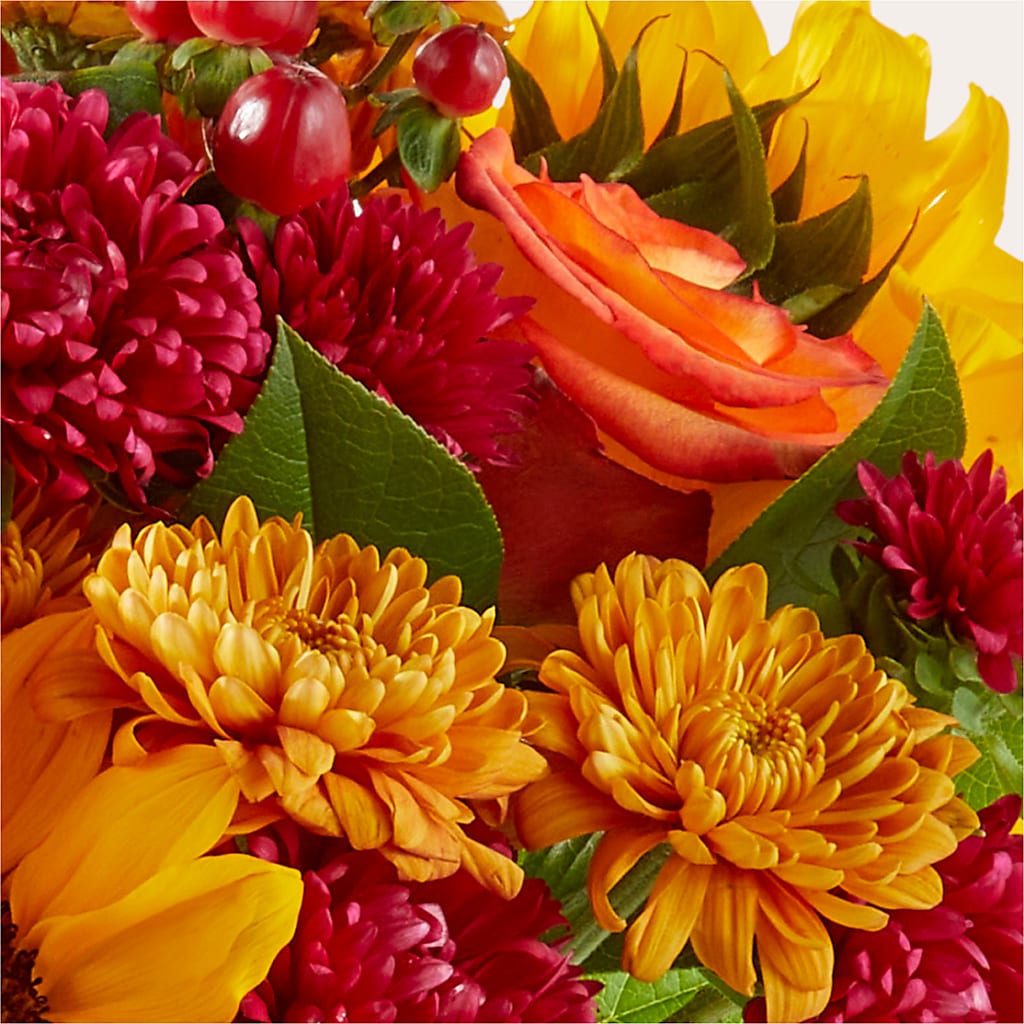 Sweater Season - A Florist Original – SATELLITE FLORIST & GARDEN CENTRE, Hamilton ON