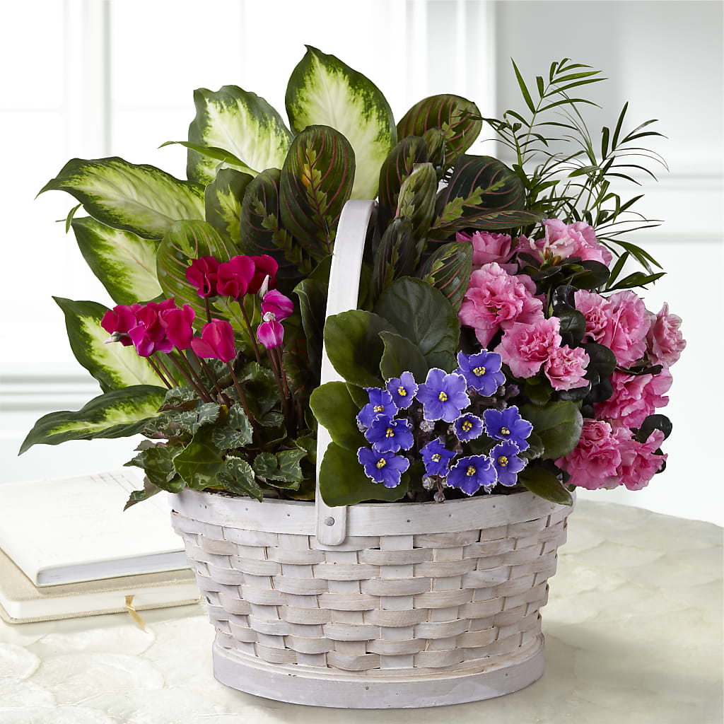 Peaceful Garden Planter – SATELLITE FLORIST & GARDEN CENTRE, Hamilton ON