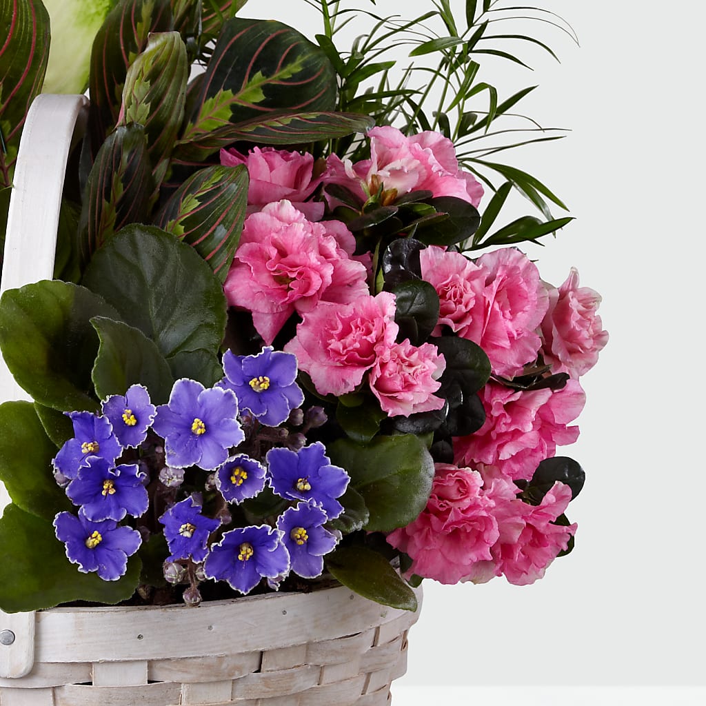 Peaceful Garden Planter – SATELLITE FLORIST & GARDEN CENTRE, Hamilton ON