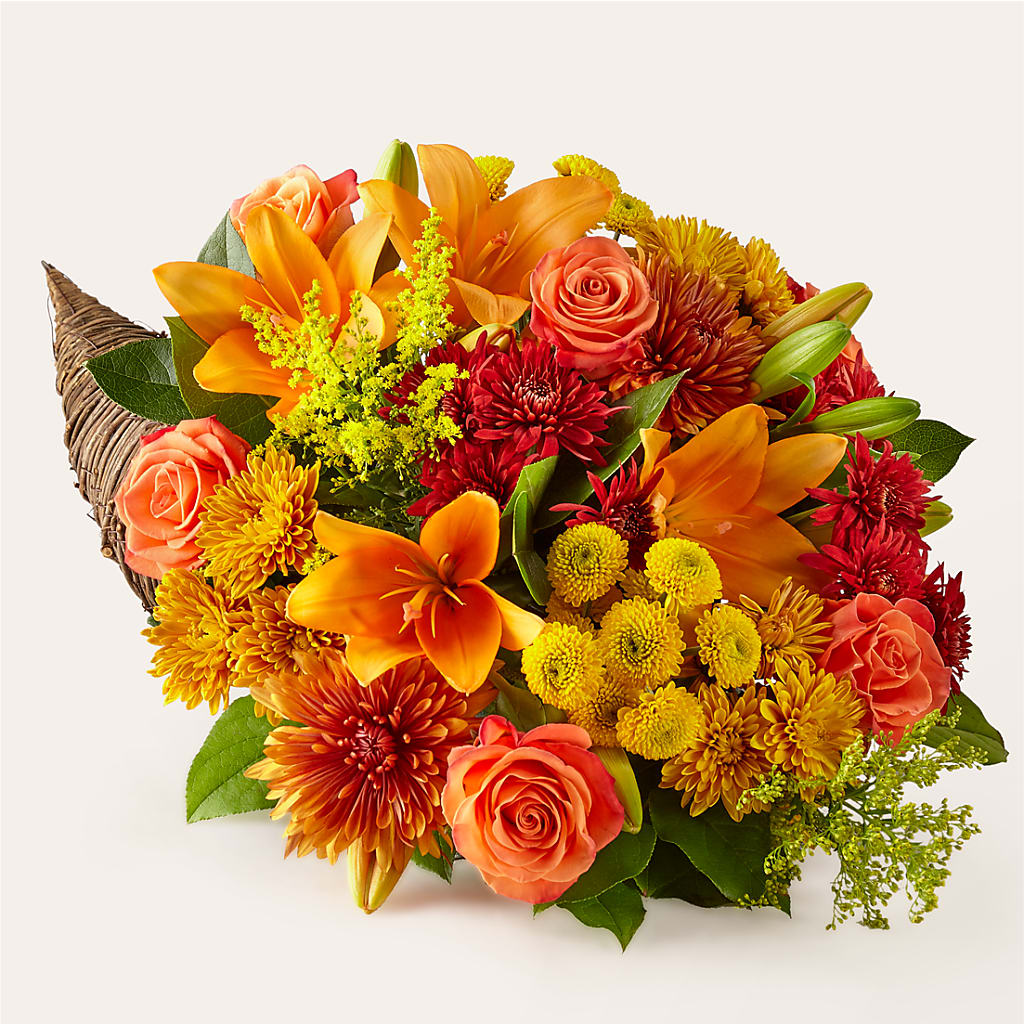 Feast of Color Cornucopia – SATELLITE FLORIST & GARDEN CENTRE, Hamilton ON