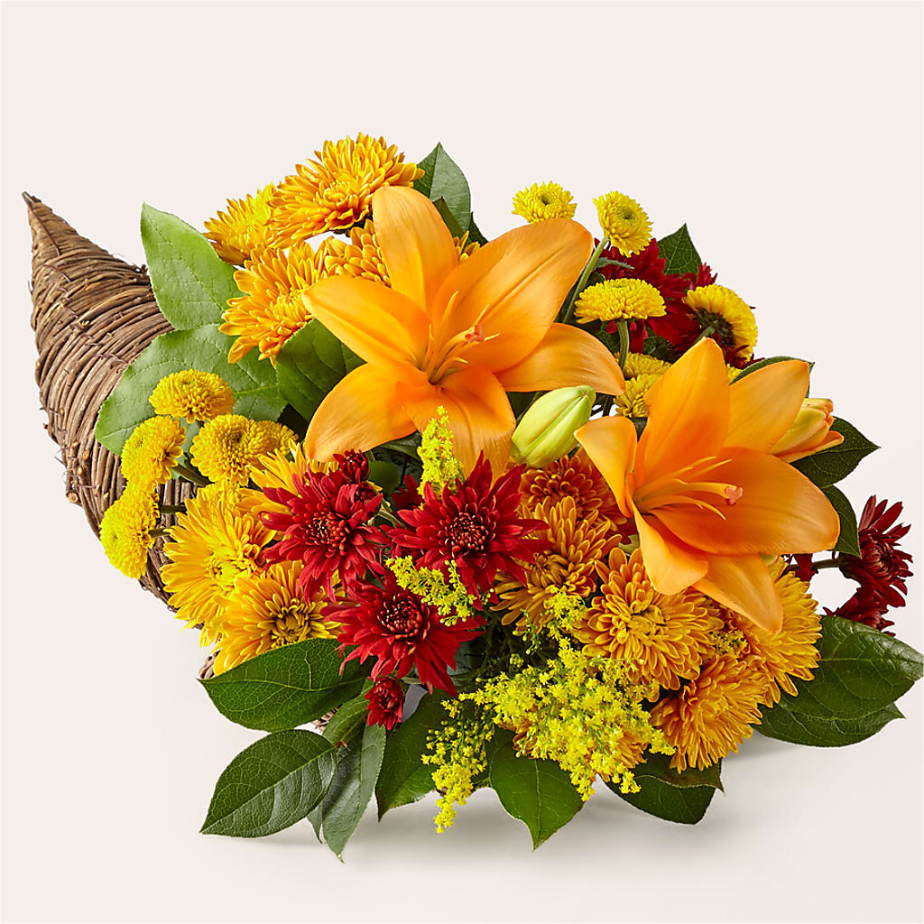 Feast of Color Cornucopia – SATELLITE FLORIST & GARDEN CENTRE, Hamilton ON