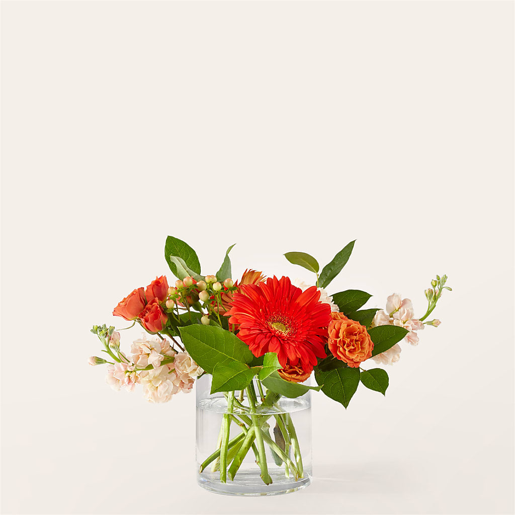 Paloma Please Bouquet – SATELLITE FLORIST & GARDEN CENTRE, Hamilton ON