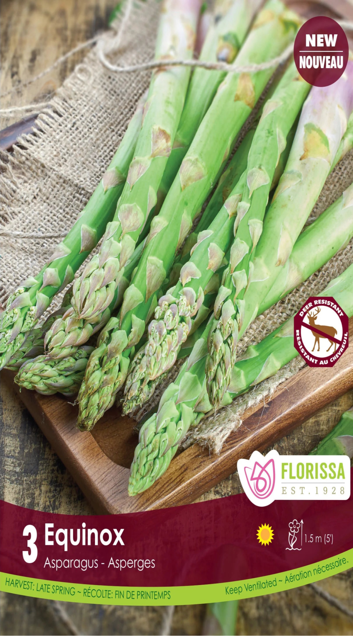 Asparagus - Equinox - Satellite Garden Centre