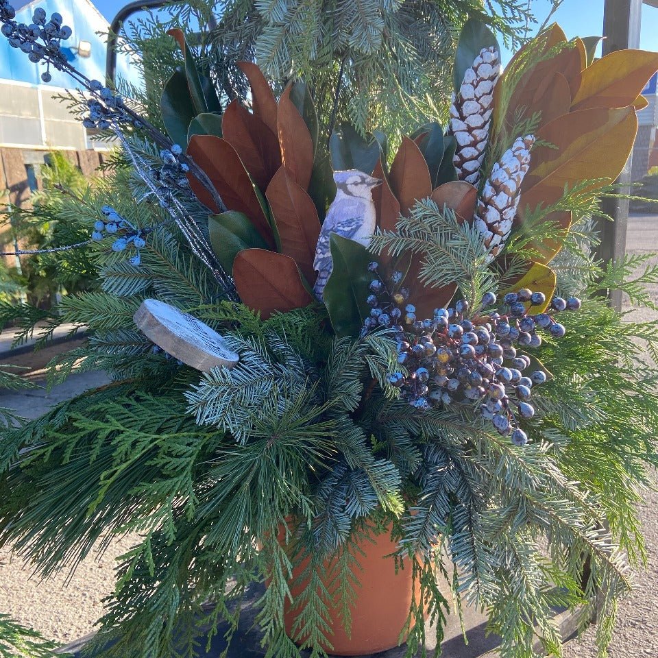 Christmas #33 - Satellite Garden Centre