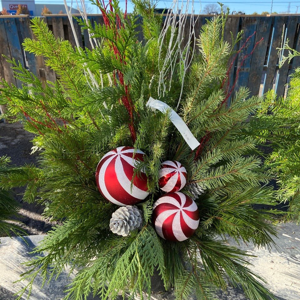 Christmas #39 - Satellite Garden Centre