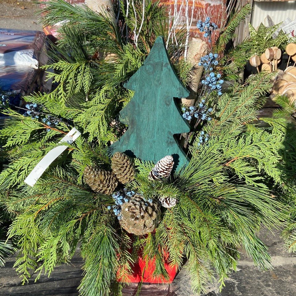 Christmas #42 - Satellite Garden Centre