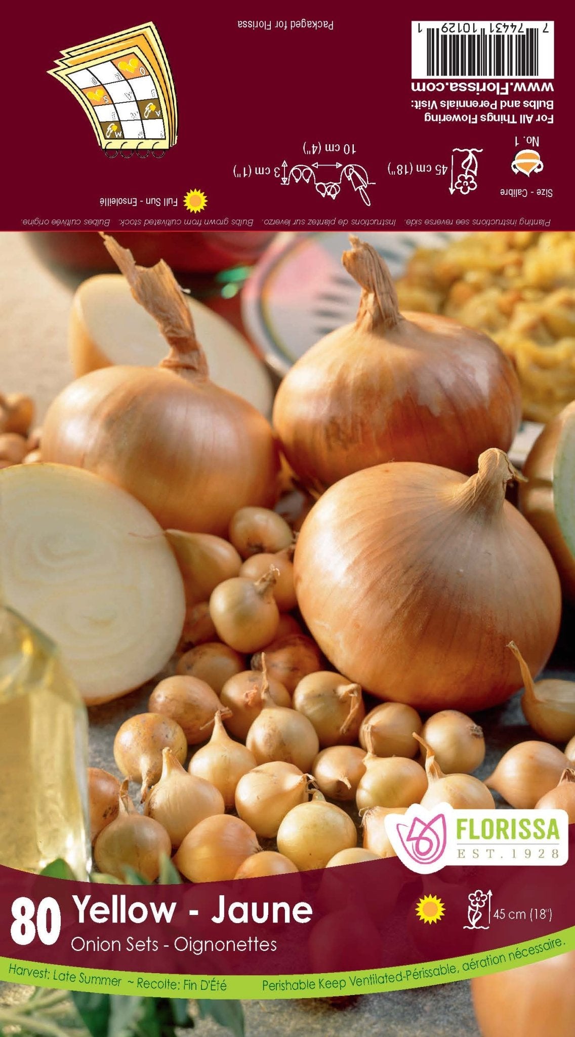 Onion - Yellow - Satellite Garden Centre