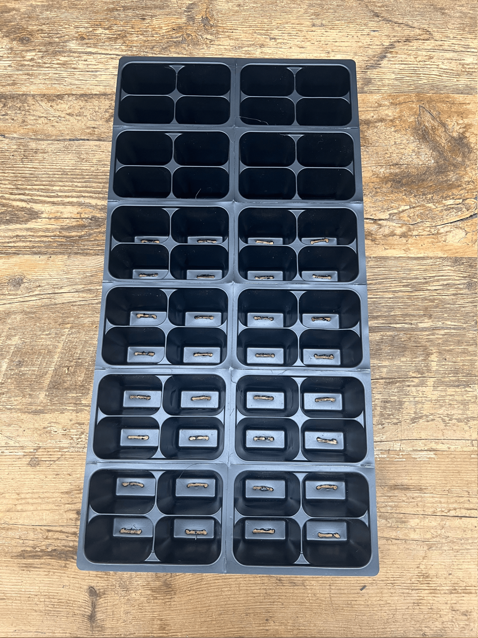 Propagation Cell Packs 48 - Satellite Garden Centre