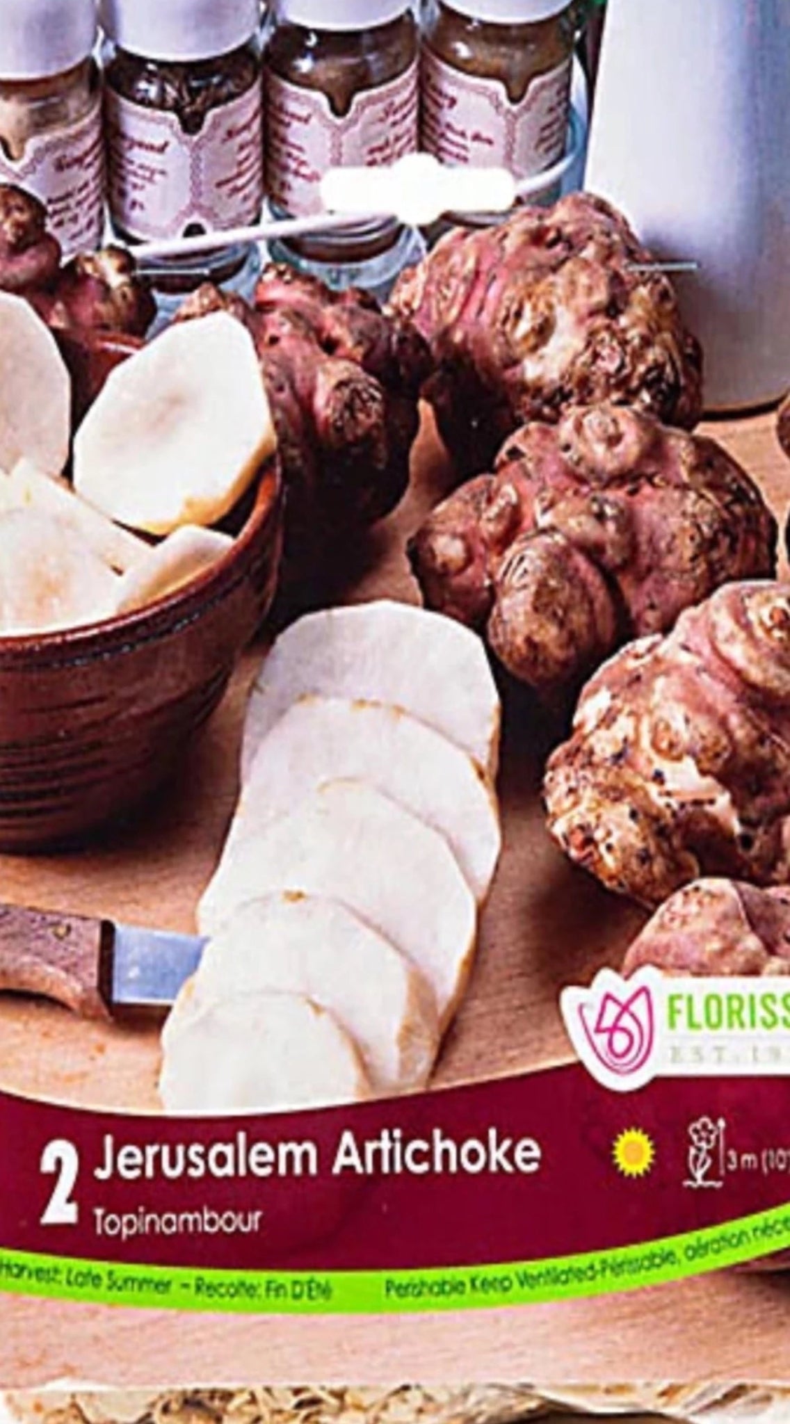 Artichoke Jerusalem - Satellite Garden Centre