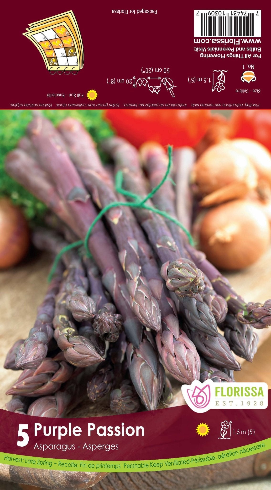 Asparagus - Purple Passion - Satellite Garden Centre