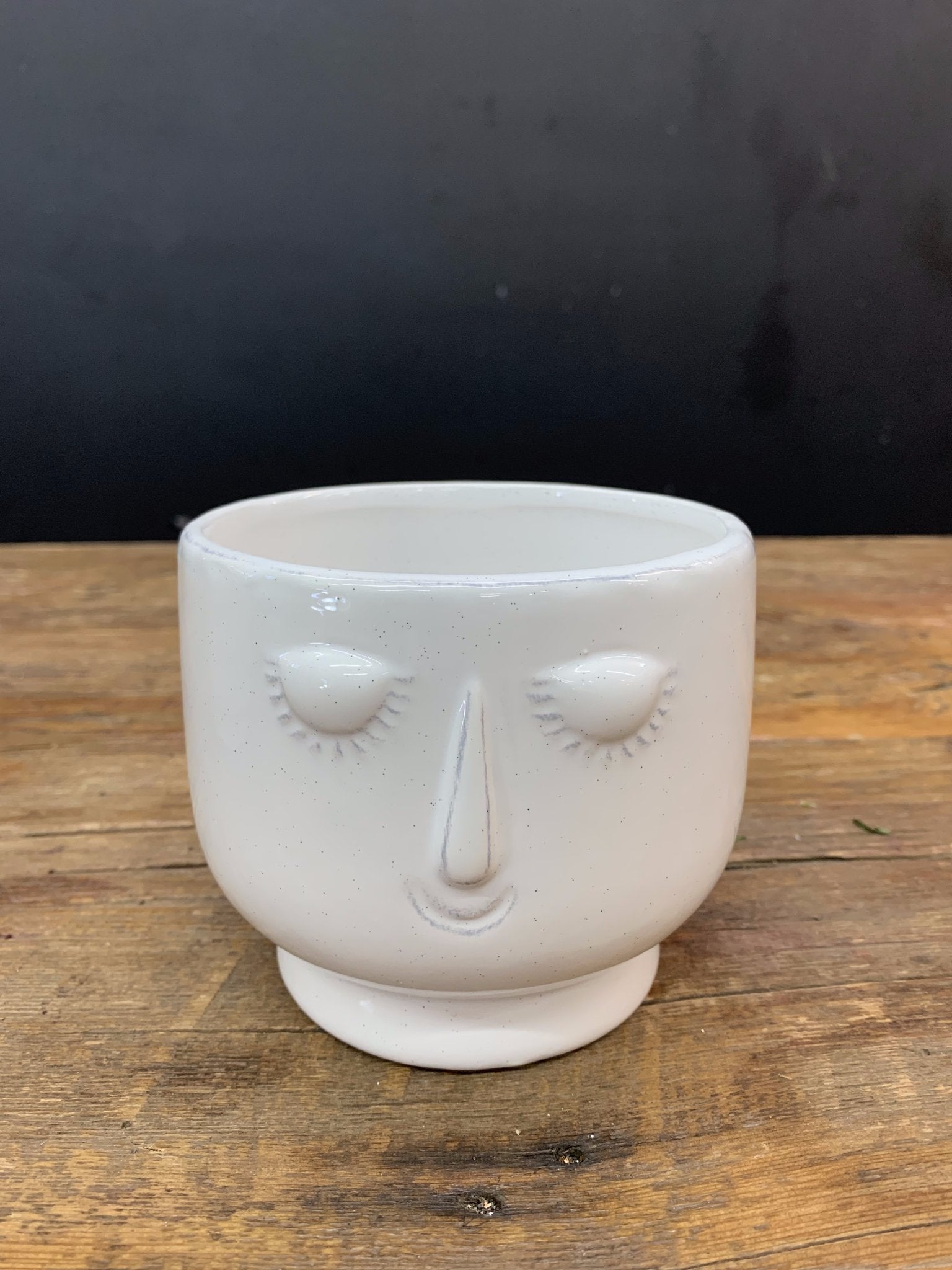 Small Face - Satellite Garden Centre