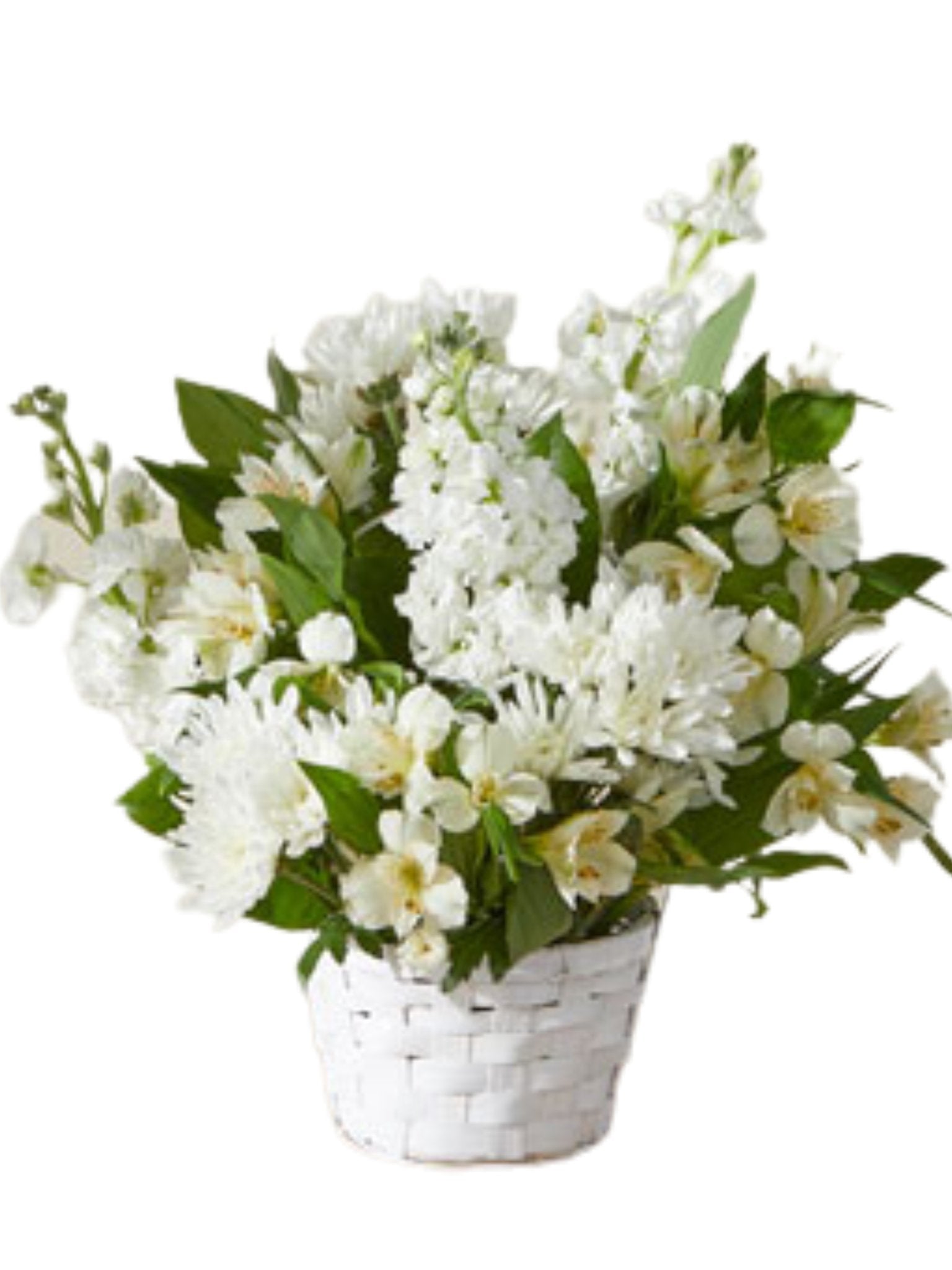 Sympathy #25 - Satellite Garden Centre