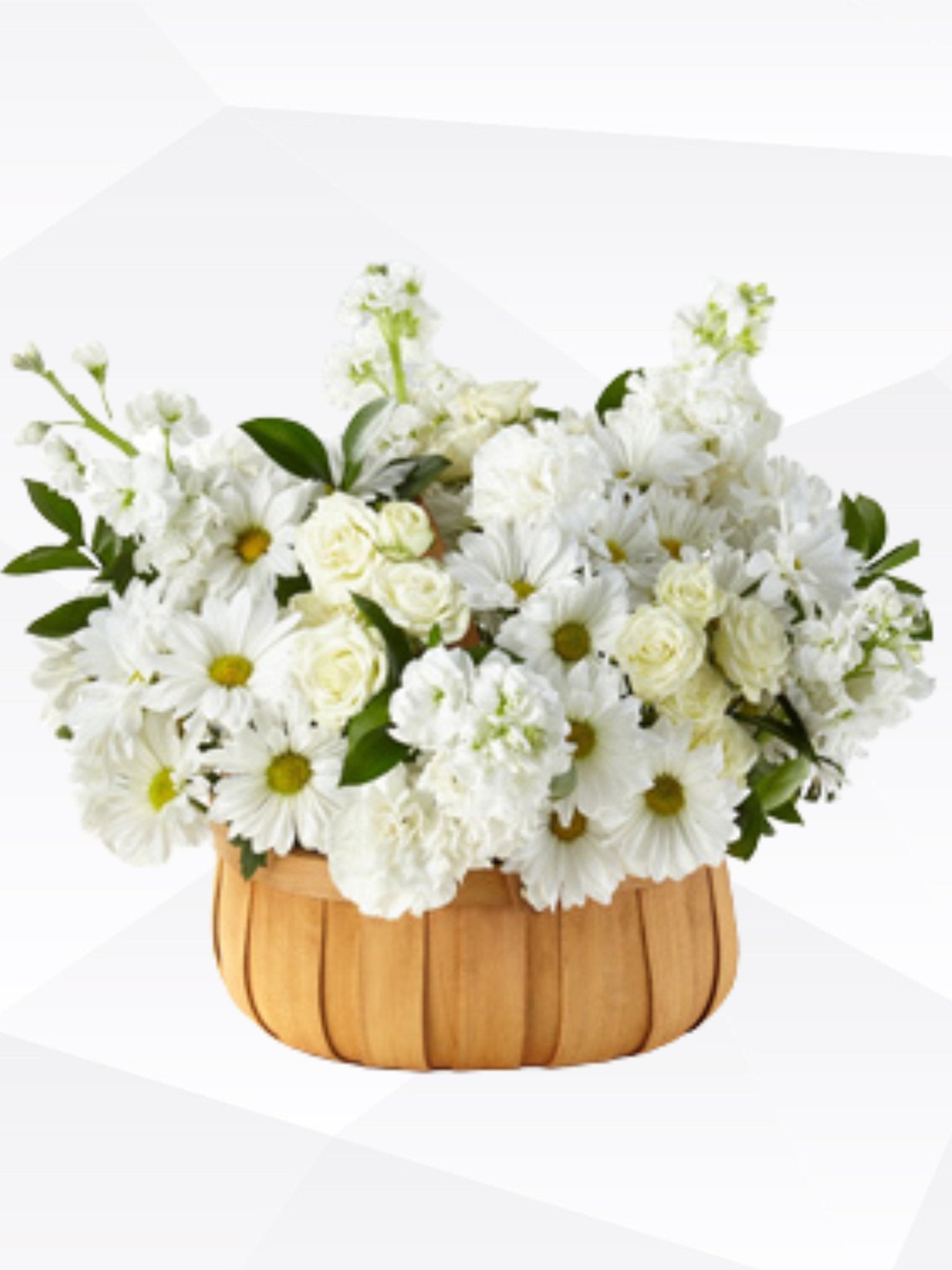 Sympathy #36 - Satellite Garden Centre