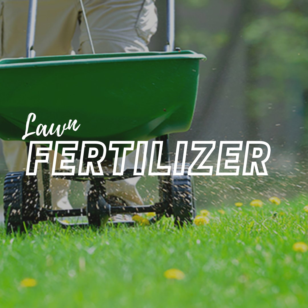 Lawn Fertilizer - Satellite Garden Centre 