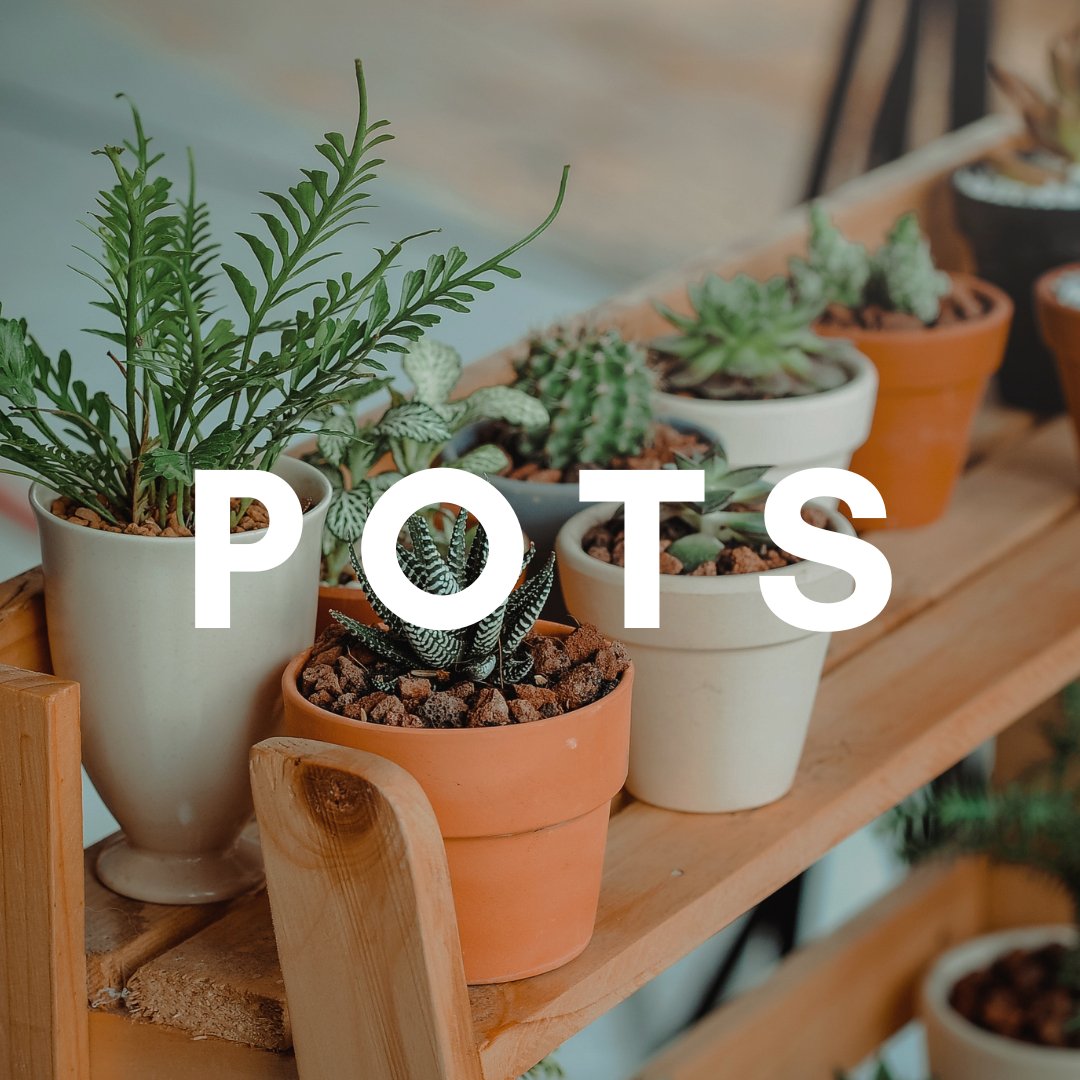 Pots & Containers - Satellite Garden Centre 