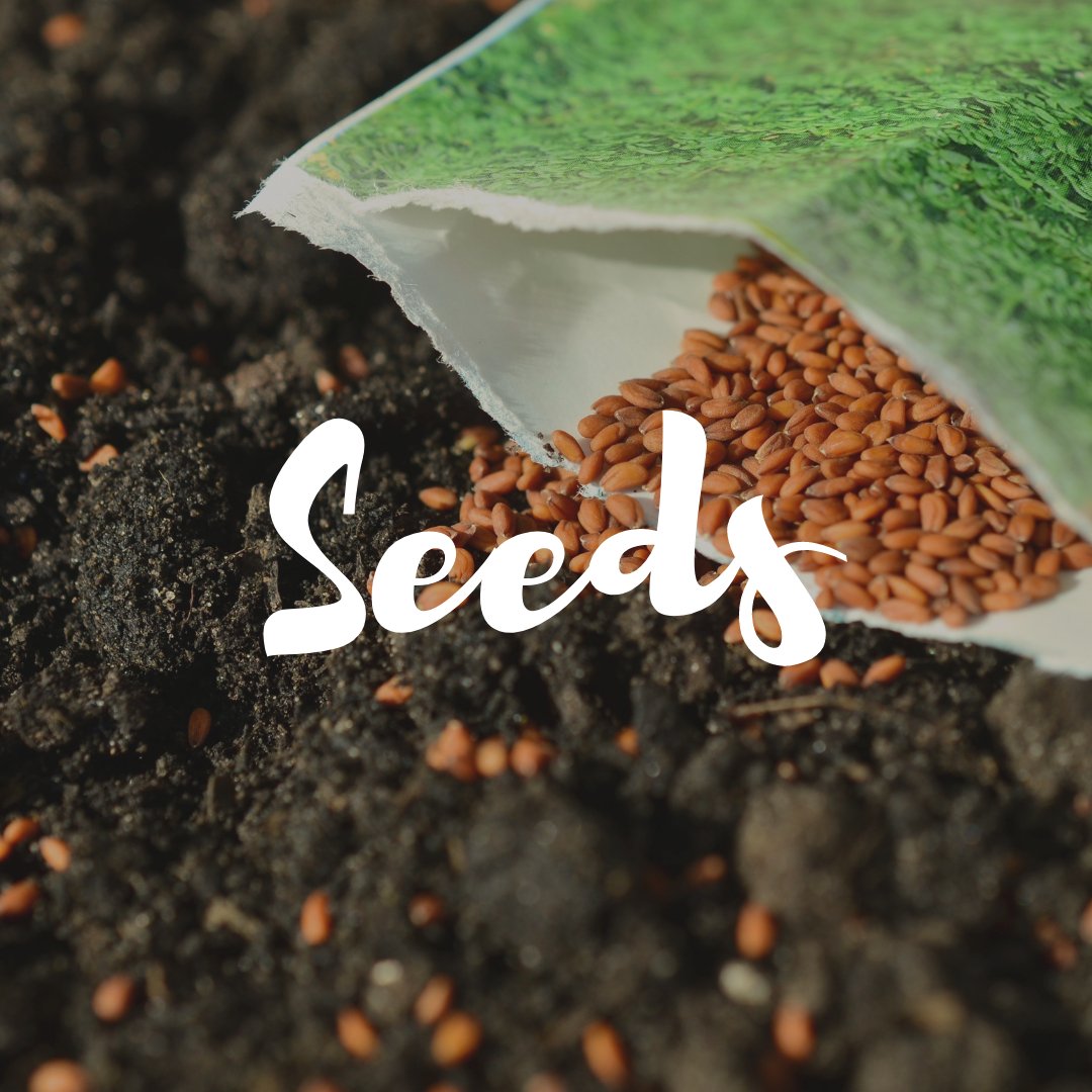 Seeds - Satellite Garden Centre 