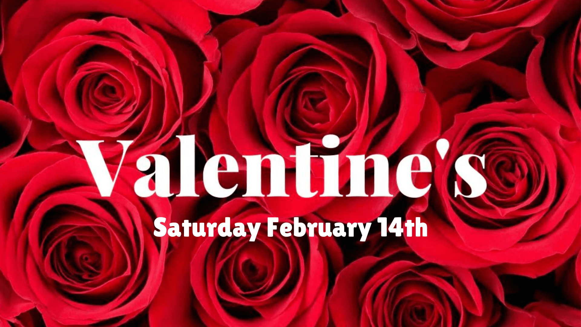 Valentine's Roses - Satellite Garden Centre