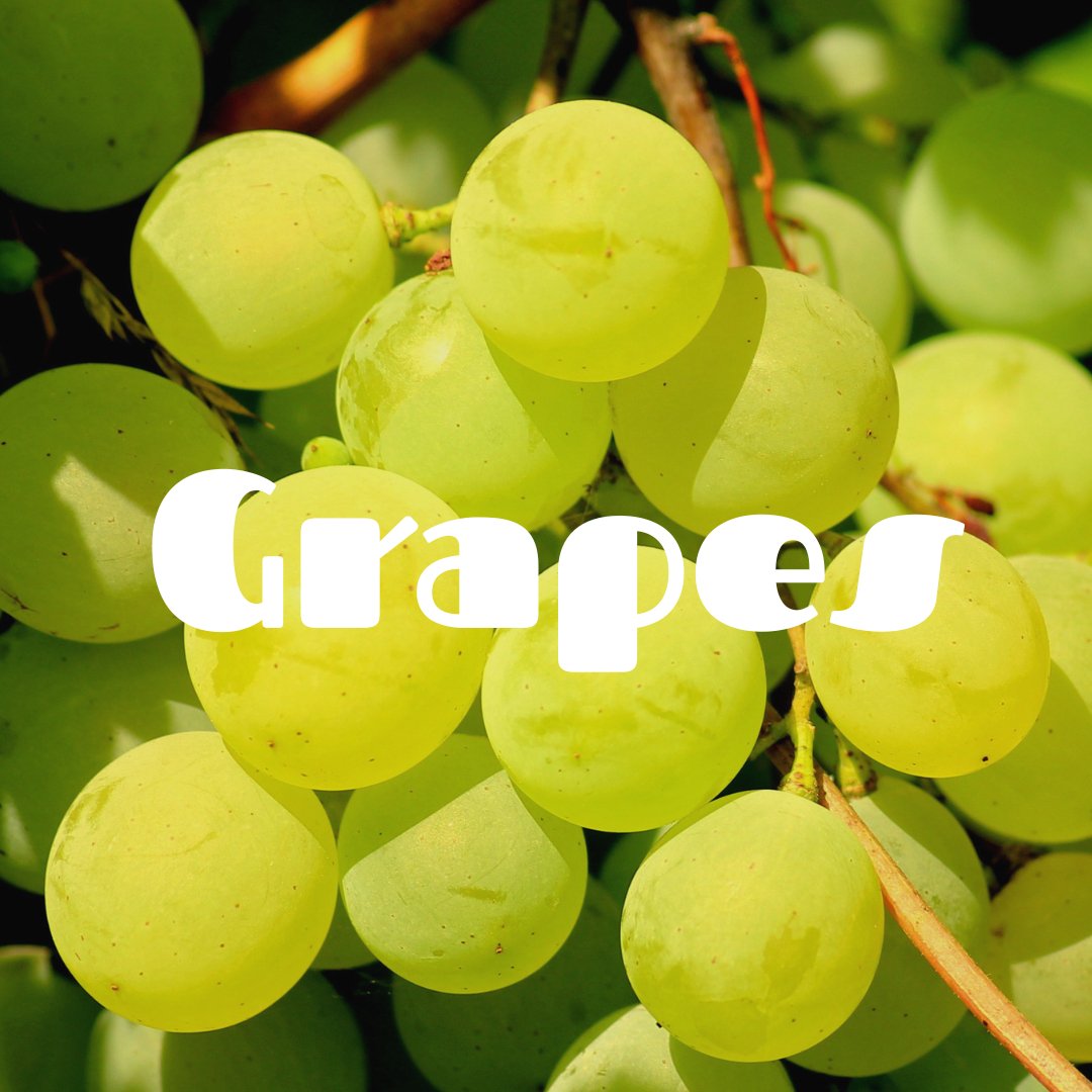 Wine Grapes - Satellite Garden Centre 