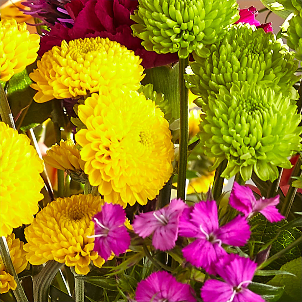 Bold & Bright – A Florist Original – SATELLITE FLORIST & GARDEN CENTRE, Hamilton ON