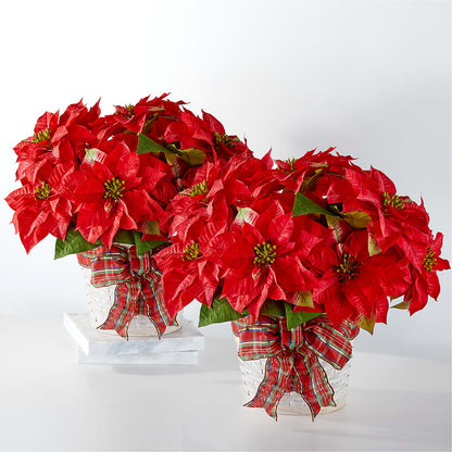 Happiest Holidays Poinsettia Bundle – SATELLITE FLORIST & GARDEN CENTRE, Hamilton ON