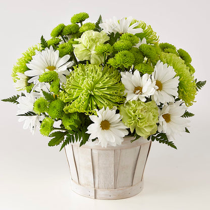 Lucky Charm Basket (Standard) – SATELLITE FLORIST & GARDEN CENTRE, Hamilton ON