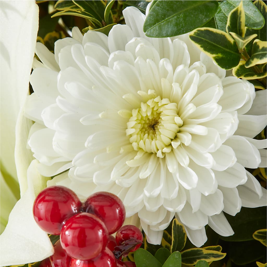 Festive Moments Tree – SATELLITE FLORIST & GARDEN CENTRE, Hamilton ON