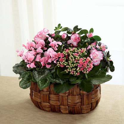 Pink Assortment – SATELLITE FLORIST & GARDEN CENTRE, Hamilton ON