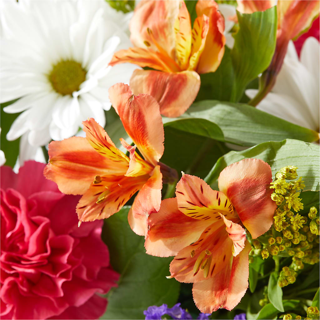 Oopsie Daisy Box Bouquet – SATELLITE FLORIST & GARDEN CENTRE, Hamilton ON