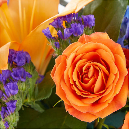 Radiant Citrus Box Bouquet – SATELLITE FLORIST & GARDEN CENTRE, Hamilton ON