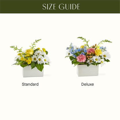 Sun Salutation Box Bouquet – SATELLITE FLORIST & GARDEN CENTRE, Hamilton ON