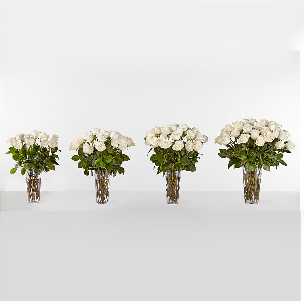 Long Stem White Rose Bouquet – SATELLITE FLORIST & GARDEN CENTRE, Hamilton ON