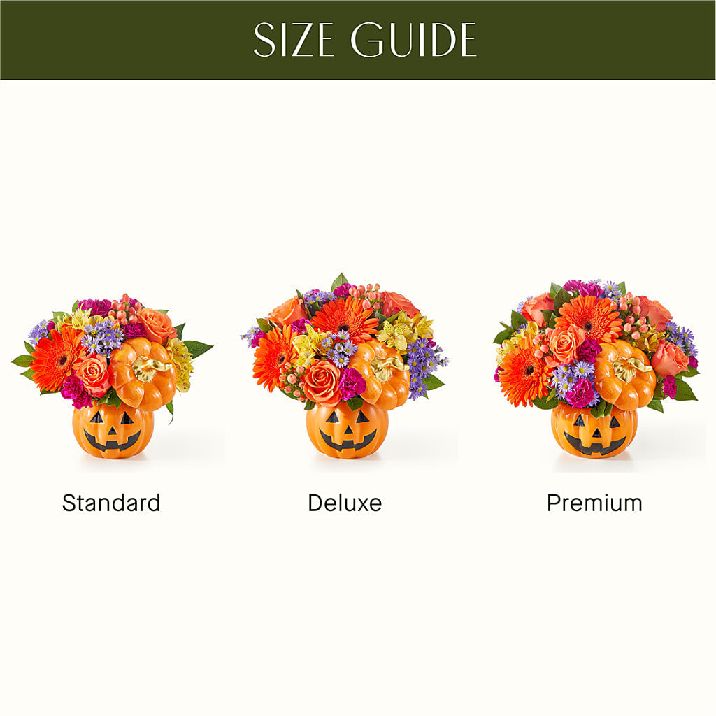 Tricks & Treats Pumpkin – SATELLITE FLORIST & GARDEN CENTRE, Hamilton ON